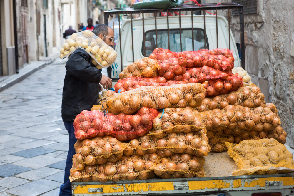 تمويل المزرعة